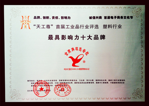 鲁燕-天工尊首届工业品行业评选最具影响力十大品牌